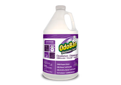 OdoBan® Professional – OdoBan (Lavender) – 11162