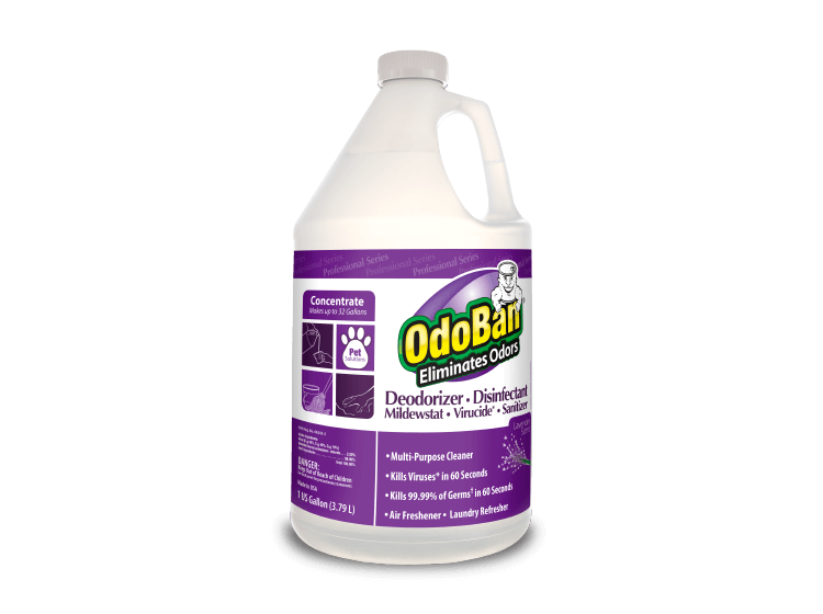 OdoBan® Professional – OdoBan (Lavender) – 11162