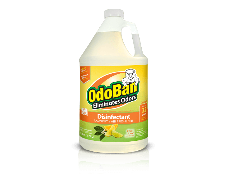 OdoBan® (Citrus) – 11601