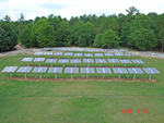 Solar Field